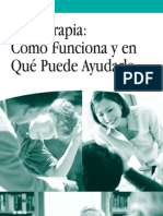 Psicoterapia guía practica 