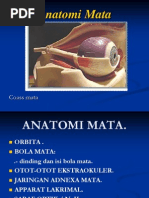 Download Anatomi Mata Coass by Satria Buana SN121111358 doc pdf