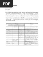 Theme and Rheme Analysis 2003