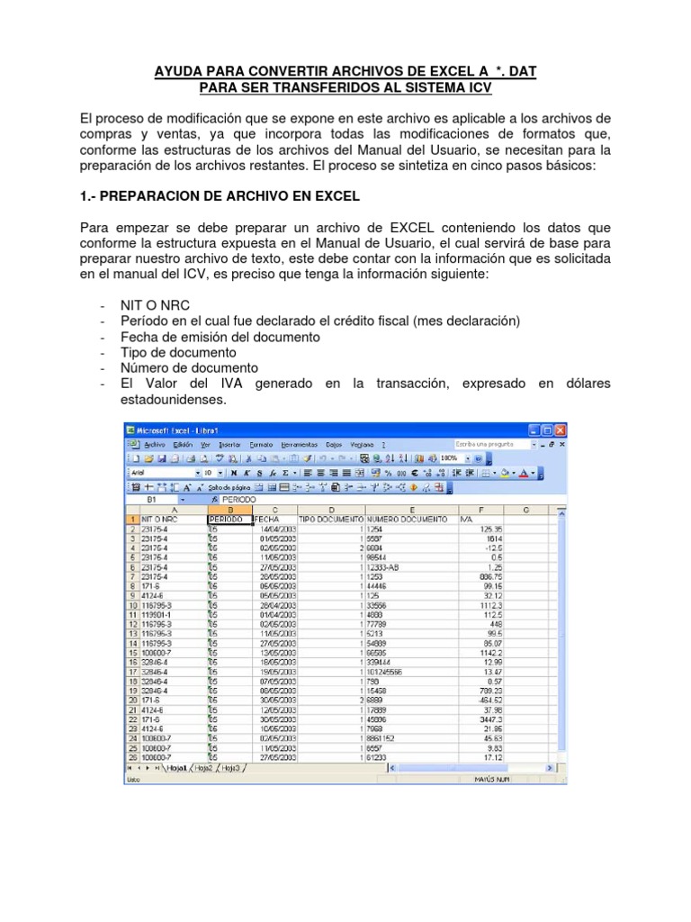Convertir Excel a DAT para ICV | PDF | Archivo de computadora | Decimal