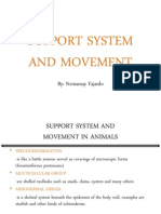 Support System and Movement
