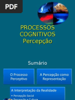 PROCESSOS COGNITIVOS - A PERCEPÇÃO