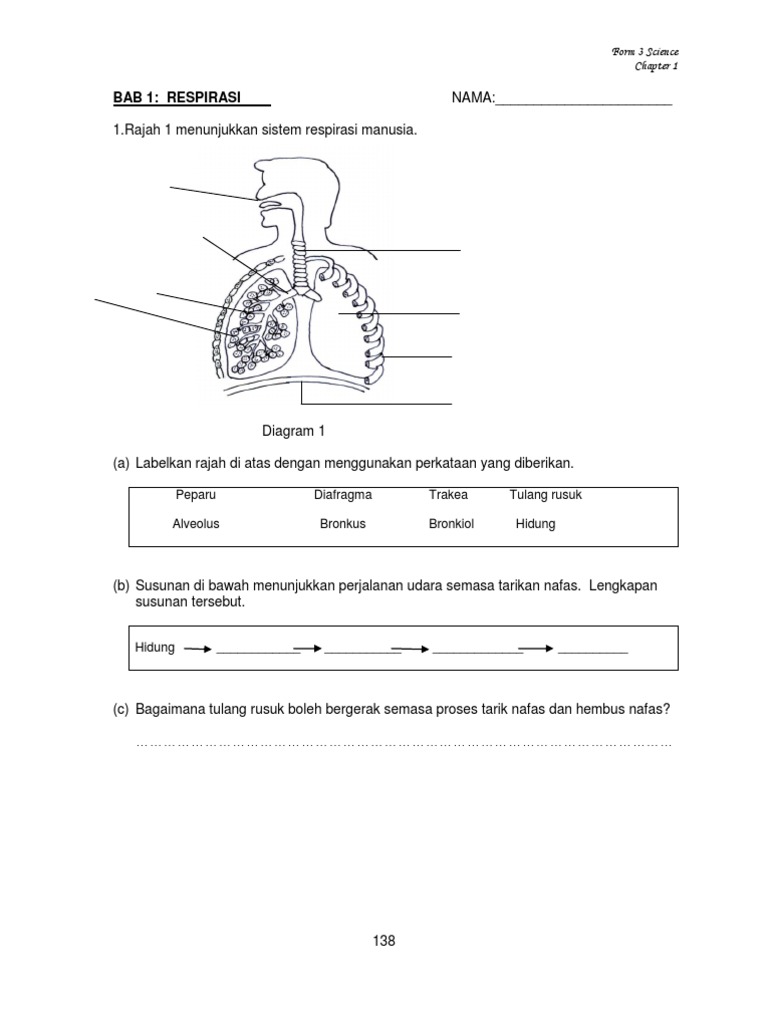 Contoh Soalan Sains Tingkatan 2 2019 - Kuora i