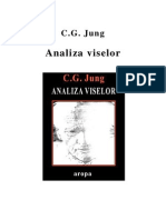 Jung - Analiza Viselor