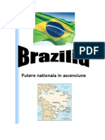 Brazilia- putere nationala in ascensiune