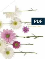 Chrysanthemum Cut Catalogue