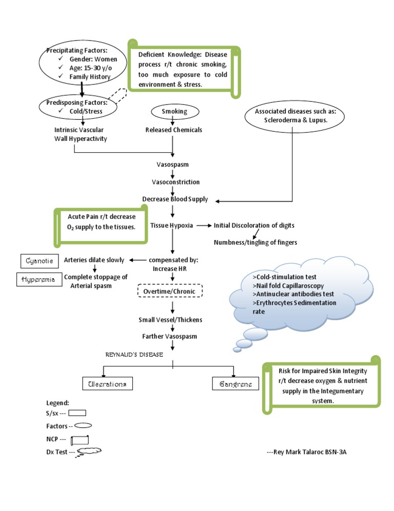 Nursing | PDF