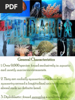 Download Phylum Cnidaria by Rose Romero SN121316247 doc pdf