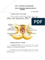 ANATOMIA SI FIZIOLOGIA ORGANELOR GENITALE FEMININE