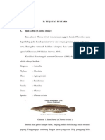 Download Gelatin Tulang ikan by Ardiansyah Ferdinan SN121327813 doc pdf