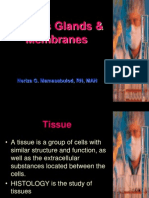 Tissues, Glands & Membranes