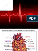 EKG