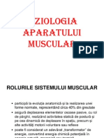 aparatul muscular