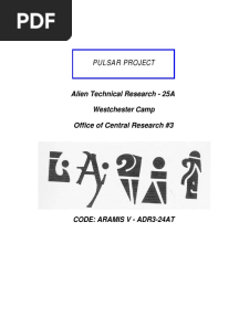 The Pulsar Project