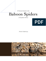 Spider Book Teaser