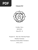 Download Pengantar teknologi pangan by Carolina Sumur Binti Sufam SN121405819 doc pdf