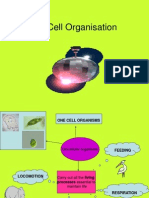 2.2 Cell Organisation