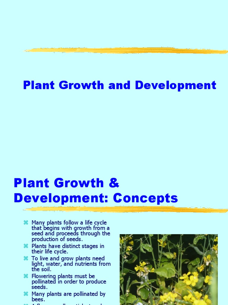 Plant Growth and Development Overview | PDF | Plant Hormone | Auxin