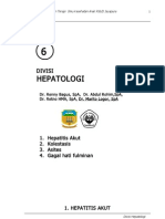 PDT Hepatologi