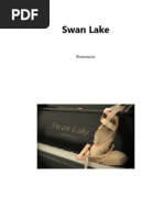 Swan lake Q and A