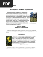 cure pentru curatareaorganismului