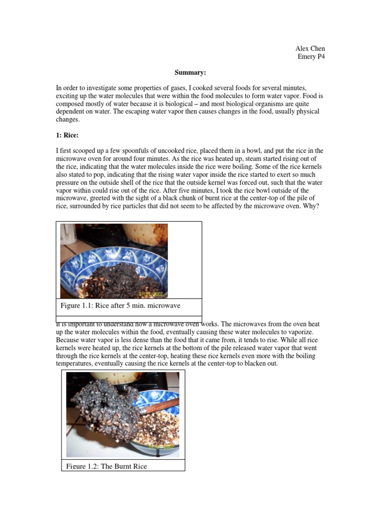 What Happens When You Overheat Food in The Microwave PDF Boiling