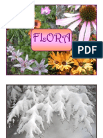 12 Month Calendar "Flora"