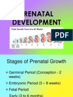 Prenatal Development