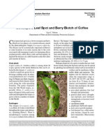 Cercospora Leaf Spot and Berry Blotch of Coffee