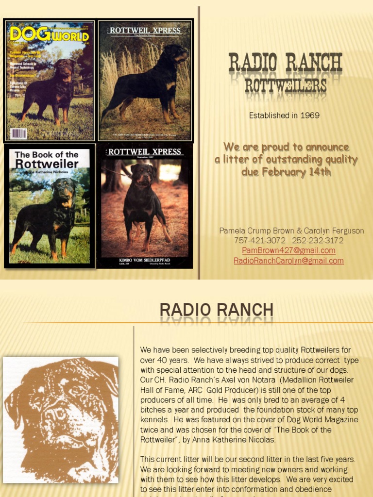Radio Ranch Rottweilers | PDF | Conformation Show | American Kennel Club