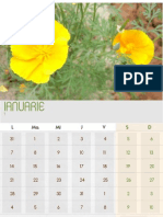 Calendar 2013 Cu Flori