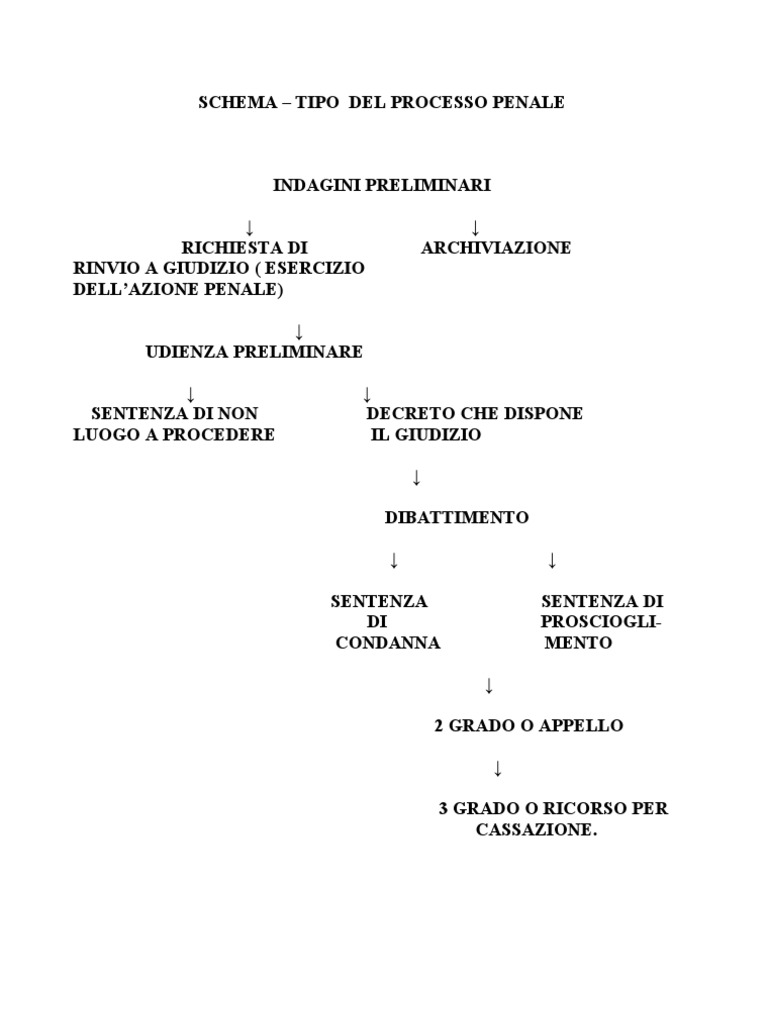 D Schemi Di Procedura Penale