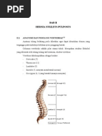 Hernia Nukleus Pulposus