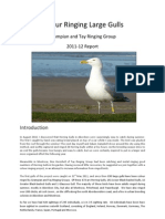 NE Scotland Gull Report 2011-12