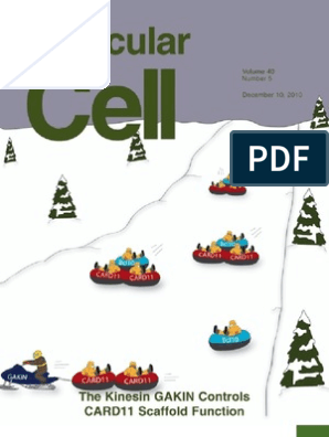 Link Kalkun mirakel CELL | PDF | Histone | Chromatin