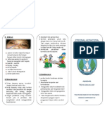 Leaflet Epidural Hematom