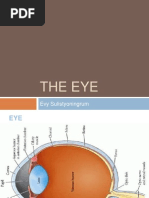 The Eye: Evy Sulistyoningrum