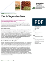 Zinc Vegetarian Nutrition
