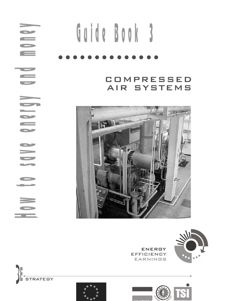 Compressed Air | PDF | Leak | Gas Compressor