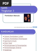 Pembiakan Manusia