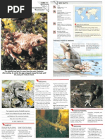 Download Wildlife Fact File - Reptiles - Pgs 11-20 by ClearMind84 SN121789145 doc pdf