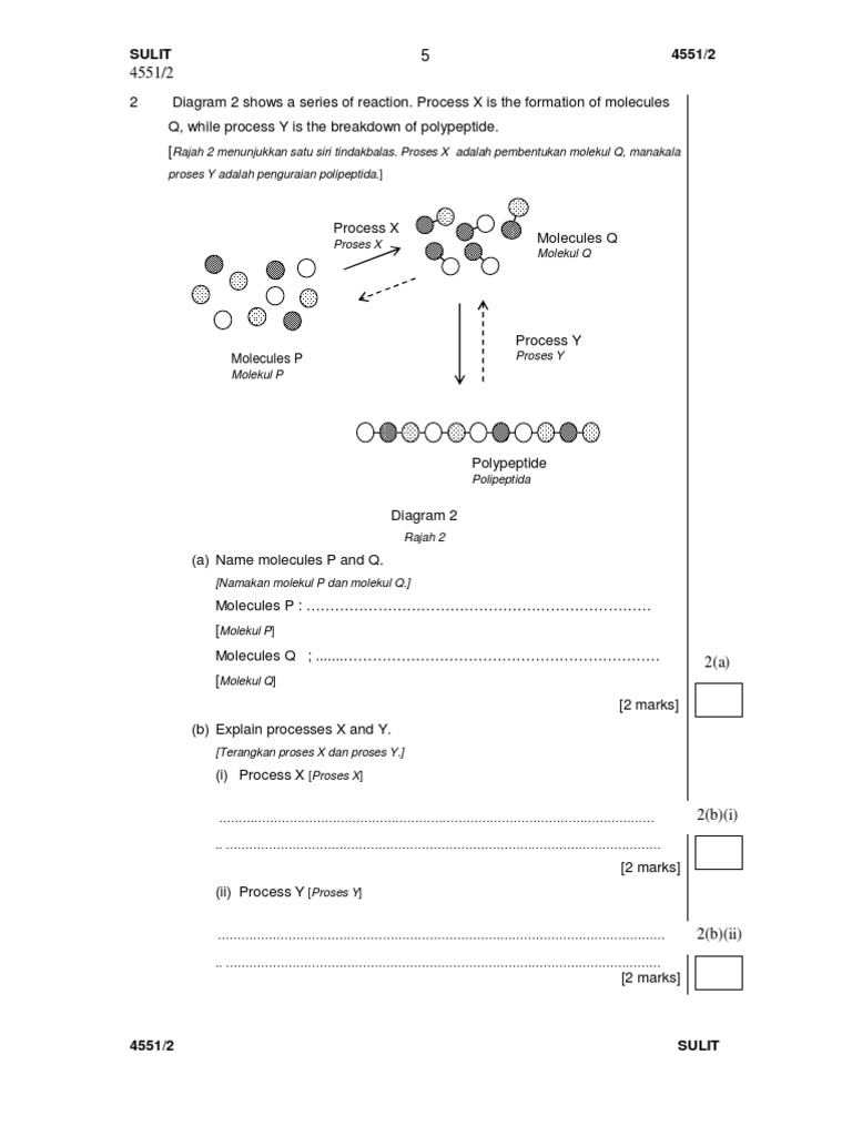 Chemical1  Ploidy  Cell Biology