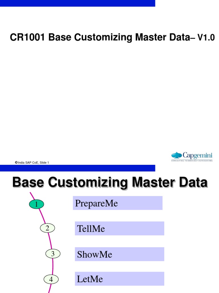Master Data Base Customization | PDF | Customer Relationship Management ...