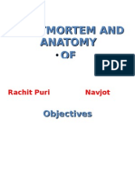 Post Martum and Anatomy of Meeting - Rachit & Navjot