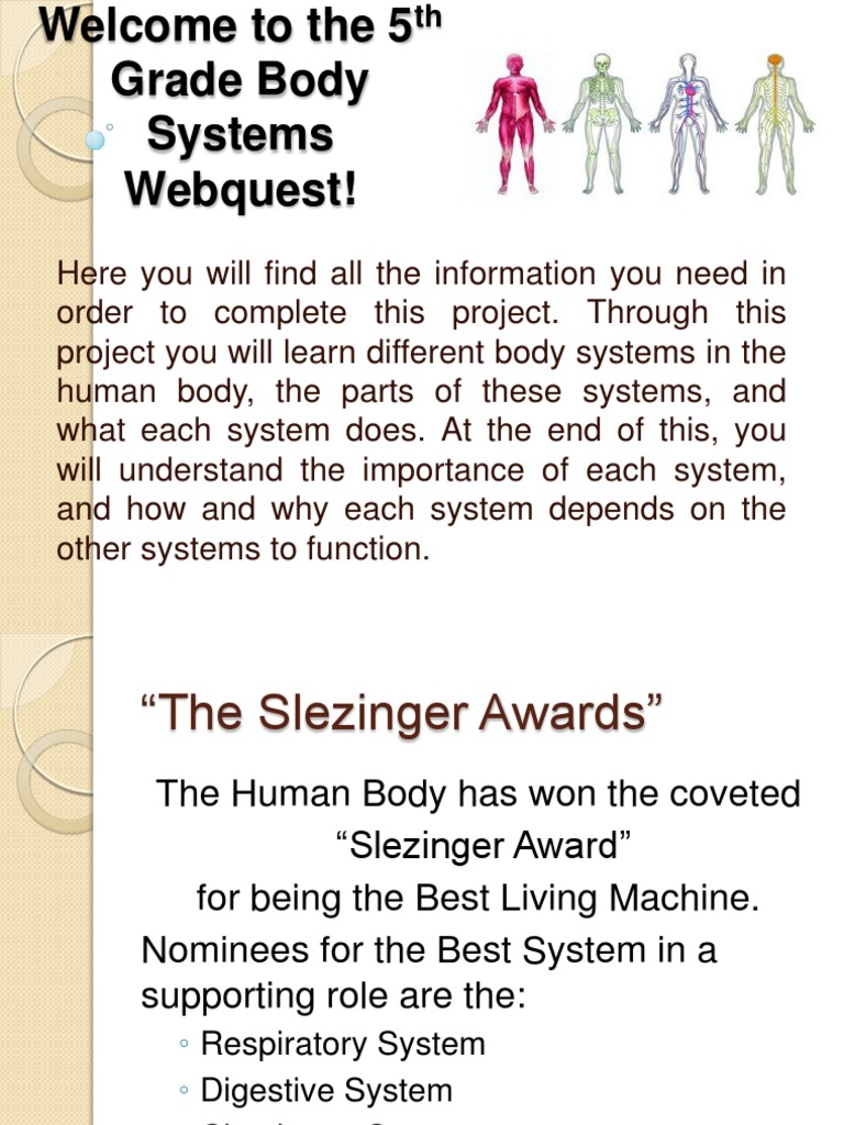 Body Systems quest PDF Quiz Learning
