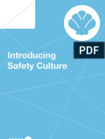 Introducing Safety Culture