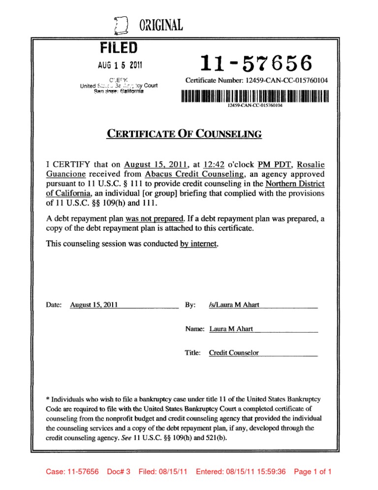 Credit Counseling Certificate PDF