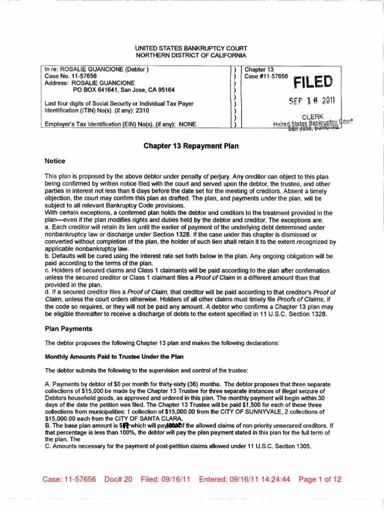 Doc020 Chap13PlanForReorganization | PDF | Law