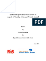 Synthesis Report / Literature Review On Aspects of Training of Those at Work in Ireland