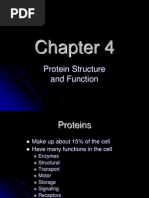 Protein Structure and Function